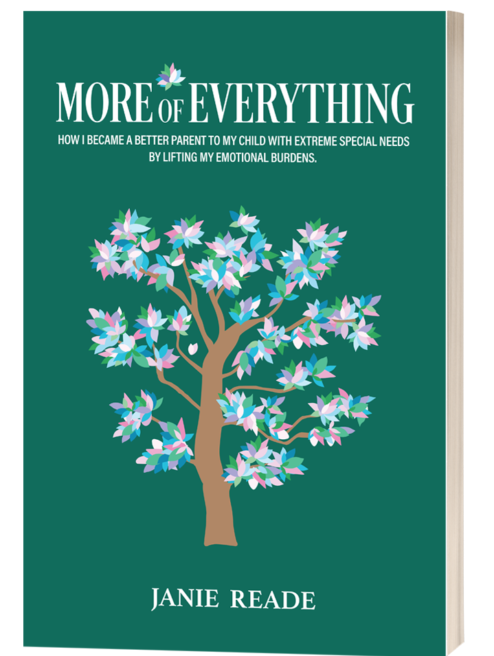 More of Everything: How I became a better parent to my child with extreme special needs by lifting my emotional burdens, by Janie Reader